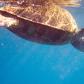 274 - IMG_1027.jpg