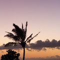 278 - IMG_9645.jpg