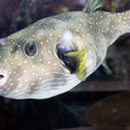 300 - IMG_9692.jpg