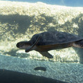 303 - IMG_9724.jpg