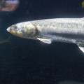 304 - IMG_9748.jpg