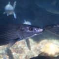 306 - IMG_9755.jpg