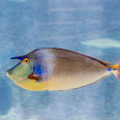 307 - IMG_9766.jpg