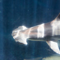 309 - IMG_9778.jpg