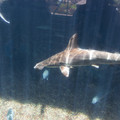 310 - IMG_9780.jpg