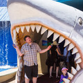 313 - IMG_9796.jpg
