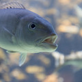 315 - IMG_9804.jpg