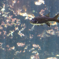 317 - IMG_9821.jpg