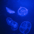 319 - IMG_9824.jpg