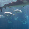 323 - IMG_9849.jpg