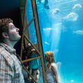 324 - IMG_9850.jpg