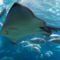325 - IMG_9872.jpg