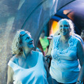 327 - IMG_9885.jpg