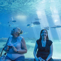 329 - IMG_9892.jpg