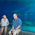 331 - IMG_9897.jpg