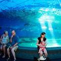 333 - IMG_9908.jpg
