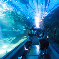 334 - IMG_9910.jpg