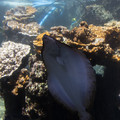 335 - IMG_9920.jpg
