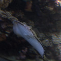336 - IMG_9927.jpg