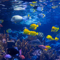 338 - IMG_9935.jpg