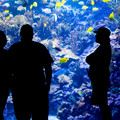 339 - IMG_9940.jpg