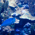 340 - IMG_9947.jpg