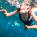 342 - IMG_1074.jpg