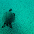 344 - IMG_1097.jpg
