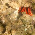 347 - IMG_1114.jpg