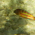 348 - IMG_1119.jpg