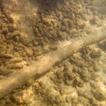 351 - IMG_1137.jpg