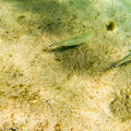 352 - IMG_1143.jpg