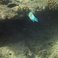 353 - IMG_1149.jpg