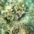 354 - IMG_1154.jpg