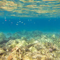 355 - IMG_1157.jpg
