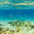 356 - IMG_1159.jpg