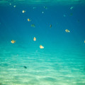 357 - IMG_1160.jpg