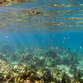 358 - IMG_1162.jpg