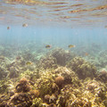 359 - IMG_1163.jpg