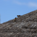 368 - IMG_0012.jpg