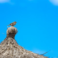 369 - IMG_0022.jpg