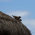372 - IMG_0026.jpg