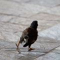 373 - IMG_0033.jpg