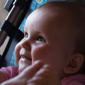 375 - IMG_0051.jpg