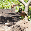 379 - IMG_0073.jpg