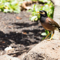 380 - IMG_0074.jpg