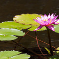 381 - IMG_0075.jpg