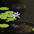 382 - IMG_0076.jpg