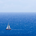 385 - IMG_0088.jpg