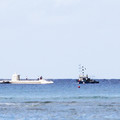 421 - IMG_0398.jpg